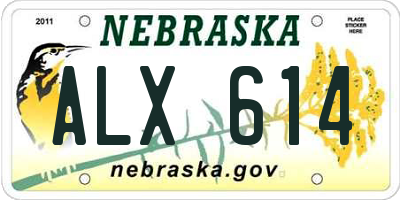 NE license plate ALX614