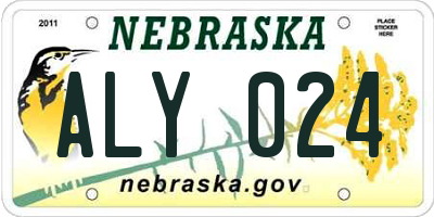 NE license plate ALY024