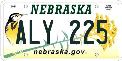 NE license plate ALY225