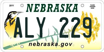 NE license plate ALY229