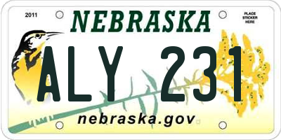 NE license plate ALY231