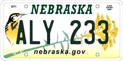 NE license plate ALY233