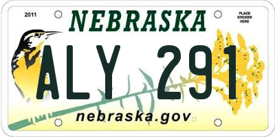 NE license plate ALY291