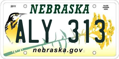 NE license plate ALY313
