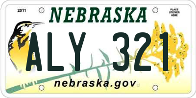 NE license plate ALY321
