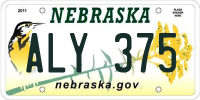 NE license plate ALY375