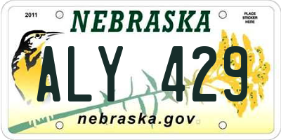 NE license plate ALY429