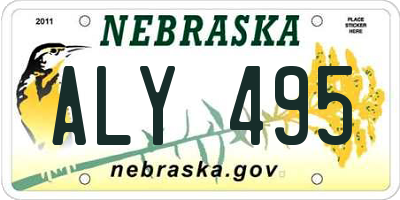 NE license plate ALY495