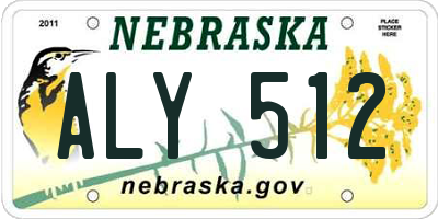 NE license plate ALY512