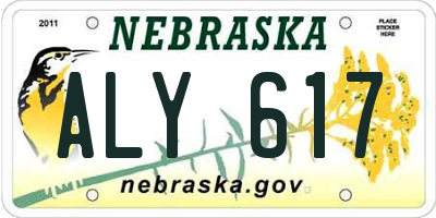 NE license plate ALY617