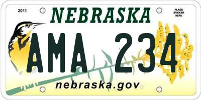 NE license plate AMA234