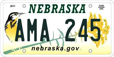 NE license plate AMA245
