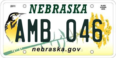 NE license plate AMB046