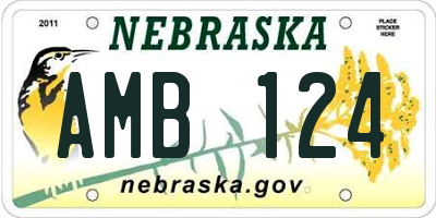 NE license plate AMB124