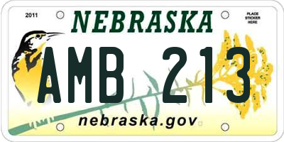 NE license plate AMB213
