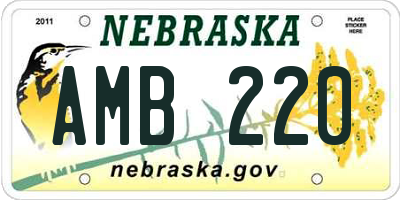 NE license plate AMB220