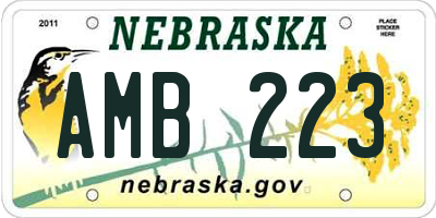 NE license plate AMB223