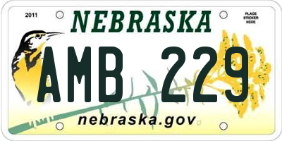 NE license plate AMB229