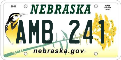 NE license plate AMB241