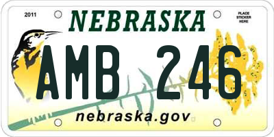 NE license plate AMB246
