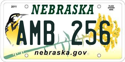 NE license plate AMB256
