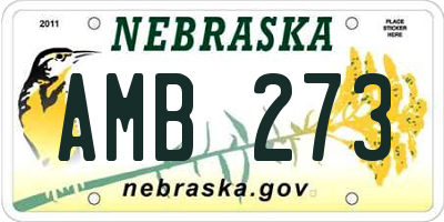 NE license plate AMB273