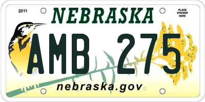 NE license plate AMB275