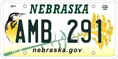 NE license plate AMB291
