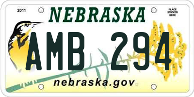 NE license plate AMB294