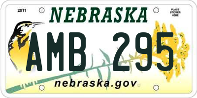 NE license plate AMB295