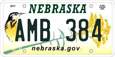 NE license plate AMB384