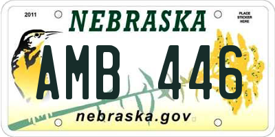 NE license plate AMB446