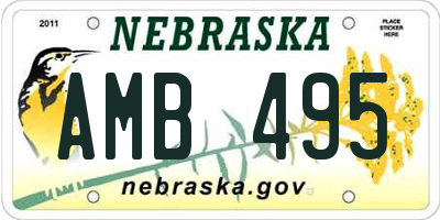 NE license plate AMB495