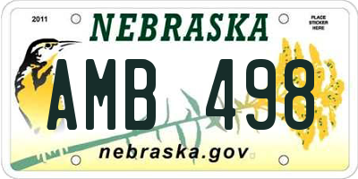 NE license plate AMB498