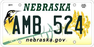 NE license plate AMB524
