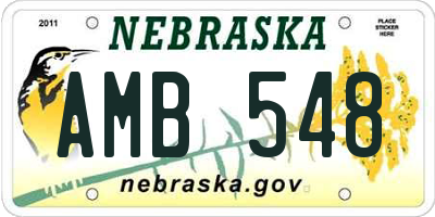 NE license plate AMB548