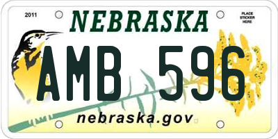 NE license plate AMB596
