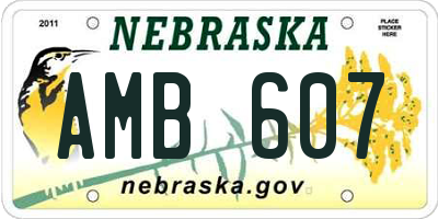 NE license plate AMB607