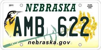 NE license plate AMB622