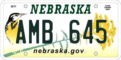 NE license plate AMB645
