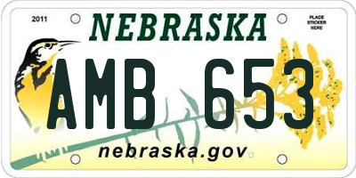 NE license plate AMB653