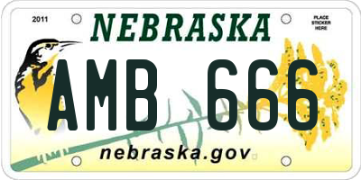 NE license plate AMB666