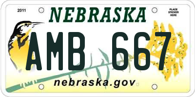 NE license plate AMB667