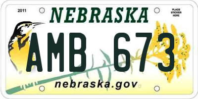 NE license plate AMB673
