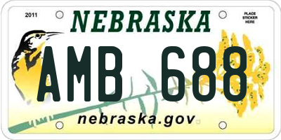 NE license plate AMB688