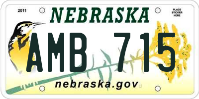 NE license plate AMB715