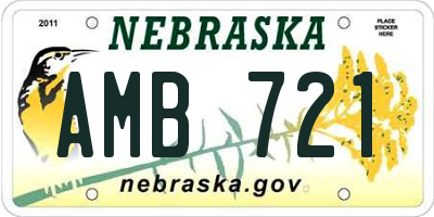 NE license plate AMB721