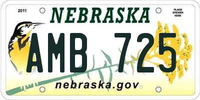 NE license plate AMB725