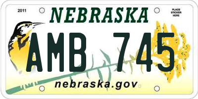 NE license plate AMB745
