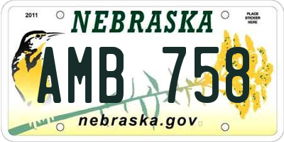 NE license plate AMB758